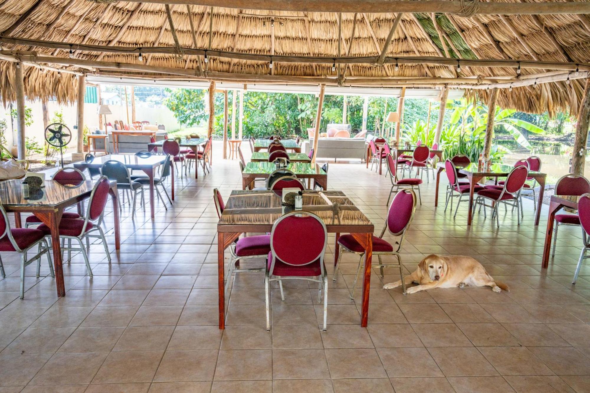 Drift Inn Cayo Santa Elena Exteriér fotografie